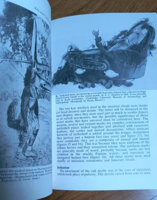 Arts And Crafts of Torres Strait (Shire Ethnogr...