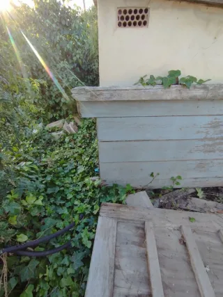 Puerta antigua de madera