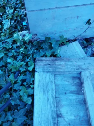 Puerta antigua de madera