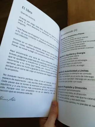 Una Pausa con Propósito: reflexiones de coaching