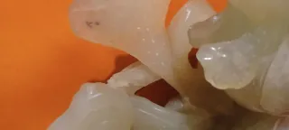 Scultura cinese in giada, portafortuna