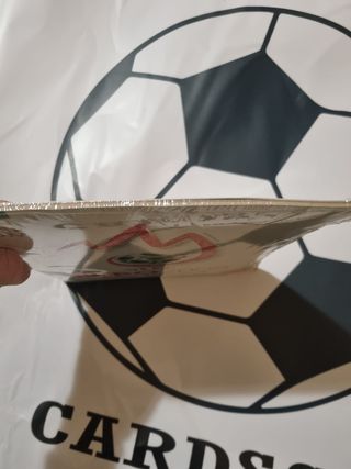 Panini Sealed set + album Euro 2008