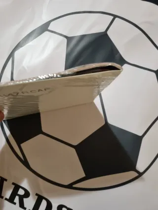 Panini Sealed set + album Euro 2008