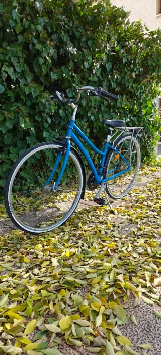 Bicicleta de paseo azul