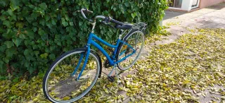 Bicicleta de paseo azul