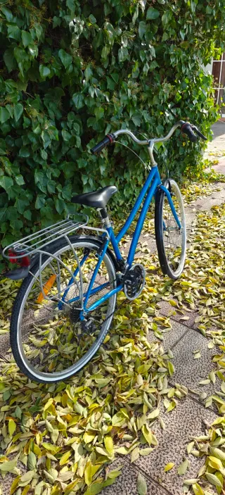 Bicicleta de paseo azul