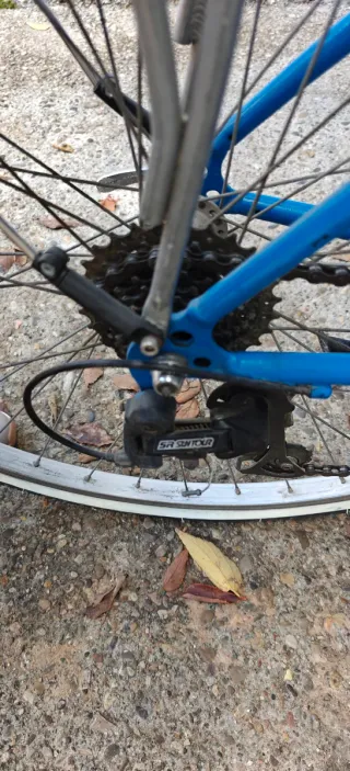 Bicicleta de paseo azul