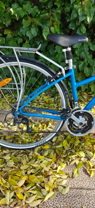 Bicicleta de paseo azul