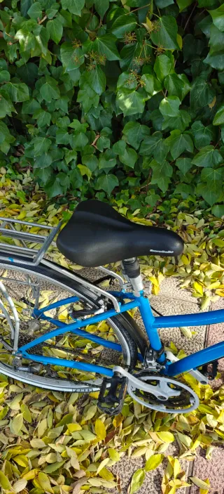 Bicicleta de paseo azul