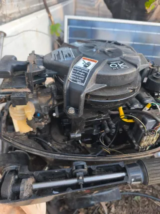 Motor fueraborda Mercury 10CV