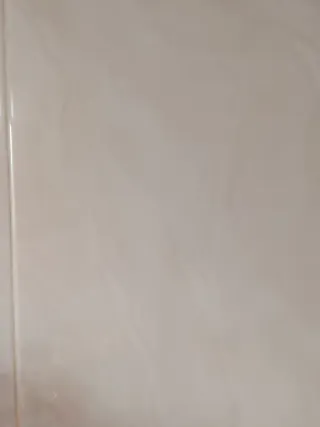 Pintor albañil económico