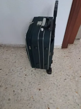 Maleta de viaje Passing verde