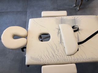 CAMILLA para masajes MOBICLINIC en buen estado .