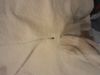 Copridiv.+copricuscini in cotone, pol. prezzi diff