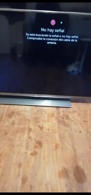 TV LG 47 con imagen parpadeante