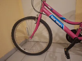 Bicicleta rosa niña