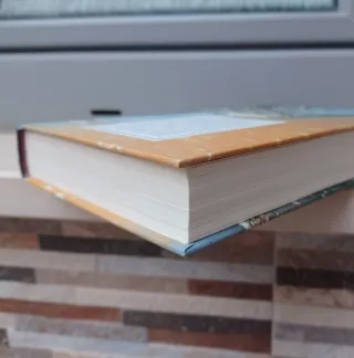 La Conjura De Los Necios