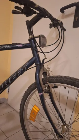 Bicicleta de montaña azul