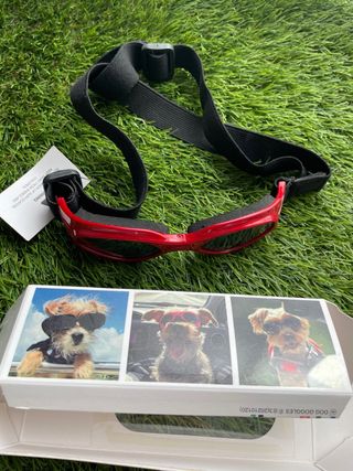 Gafas para Perro NUEVAS A ESTRENAR
