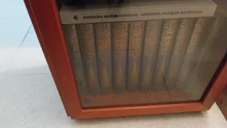 Vitrina de madera y cristal