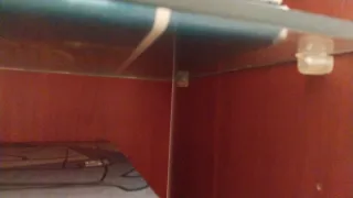 Vitrina de madera y cristal