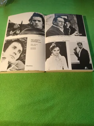 Cine para leer 1976, Historia crítica de un año de