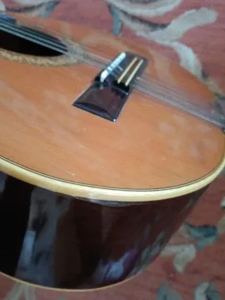 Bandurria Alhambra 3C