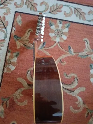 Bandurria Alhambra 3C