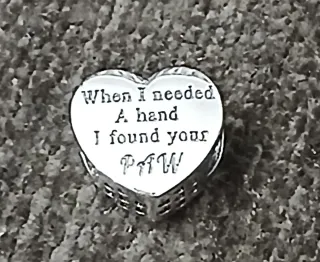 2 Charms Plata "Mascota"