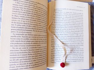 Funda de libro Caperucita Roja