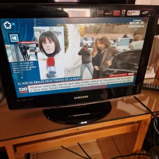 Samsung LE19B450 TV - Sin Sonido