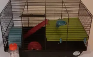 2 gabbie per criceti