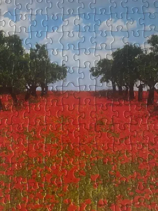 Puzzle Educa Campo de Amapolas