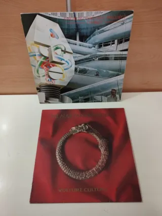 2 Vinilos The Alan Parsons Project