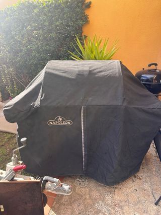 Barbacoa Gas Napoleon LEX