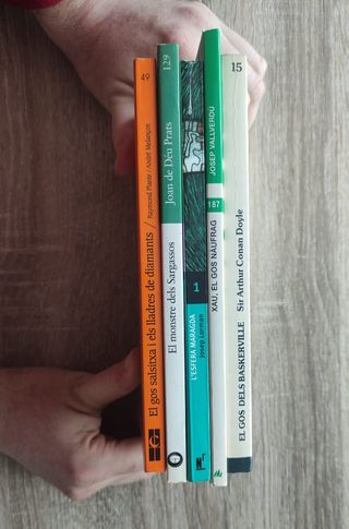 Llibres de lectura juvenil en català