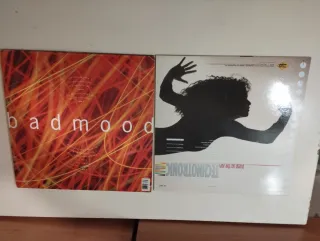2 Vinilos Technotronic y Badmood