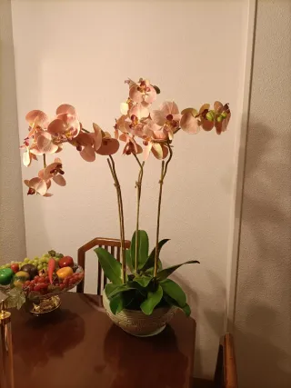 Planta Orquídea Artificial Rosa