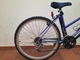 Bicicleta Orbea Paradise Morada