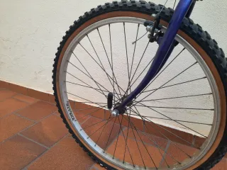 Bicicleta Orbea Paradise Morada