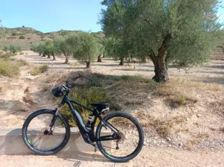 Bicicleta eléctrica e-mtb Cube Acid Hybrid One 500