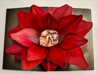 Cuentos silenciosos (Spanish Edition)