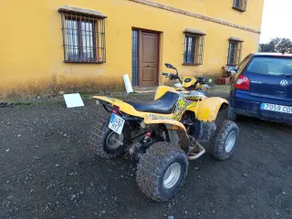Quad 300 cc