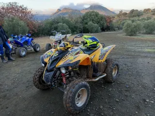 Quad 300 cc