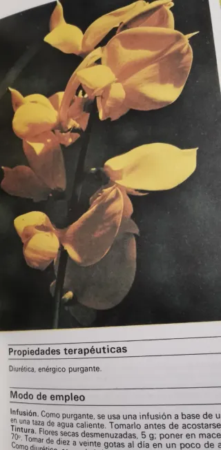Plantas y flores medicinales, 2 libros.