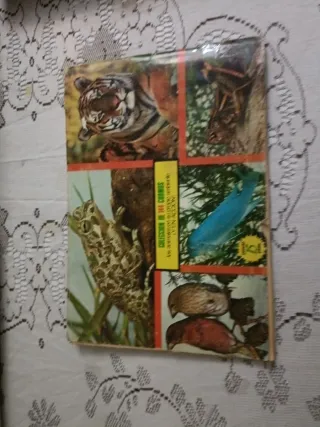 Álbum Cromos Naturaleza Viva Completo
