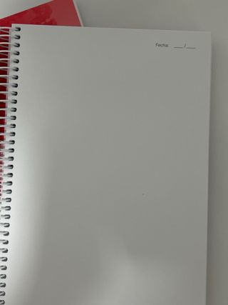 2 Cuadernos Espiral Rojo Virus Gripe