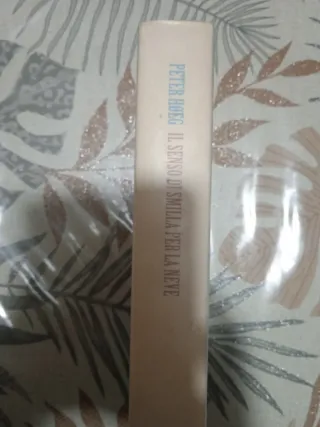 Il senso di Smilla per la neve