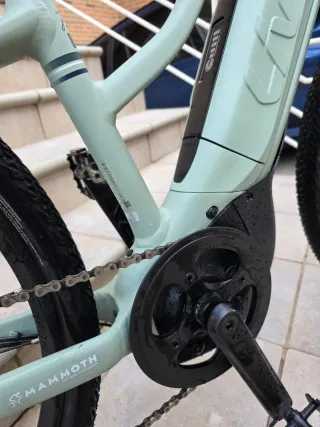 Liv Rove E+ XS Eléctrica