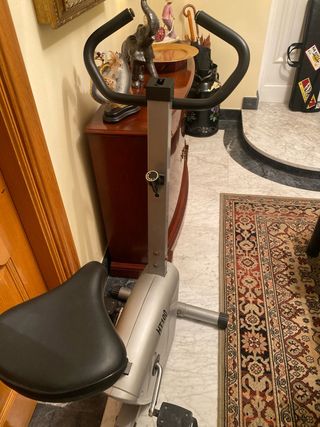 Bicicleta Estática Buffalo HT100